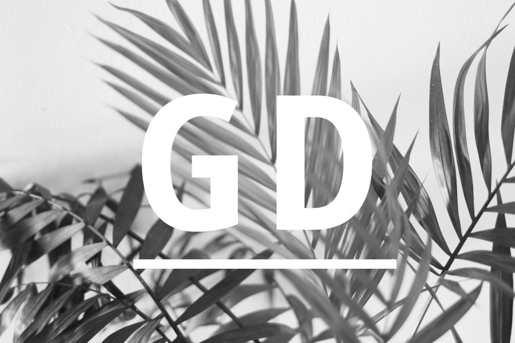 Perales del Puerto La Grulla Dorada 게스트하우스 외부 사진