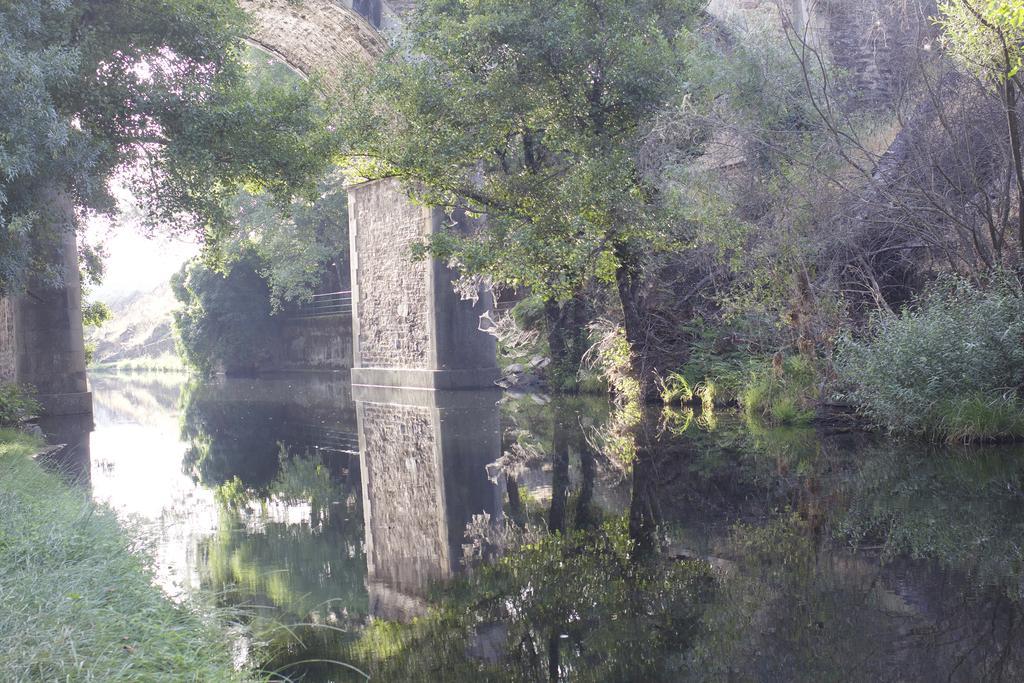 Perales del Puerto La Grulla Dorada 게스트하우스 외부 사진